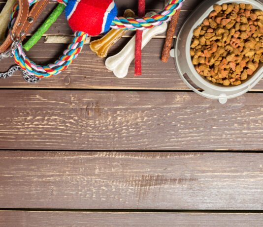 Cómo abrir un pet shop | Lo que debes saber para montar una tienda de mascotas cómo-abrir-un-pet-shop