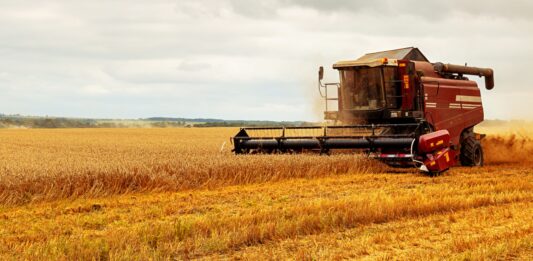 Negocios de agricultura | 15 ideas de negocios agroindustriales Negocios de agricultura, 15 ideas de negocios agroindustriales