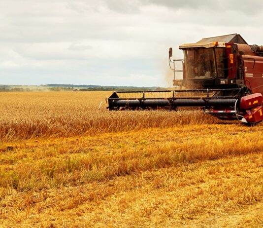 Negocios de agricultura | 15 ideas de negocios agroindustriales Negocios de agricultura, 15 ideas de negocios agroindustriales
