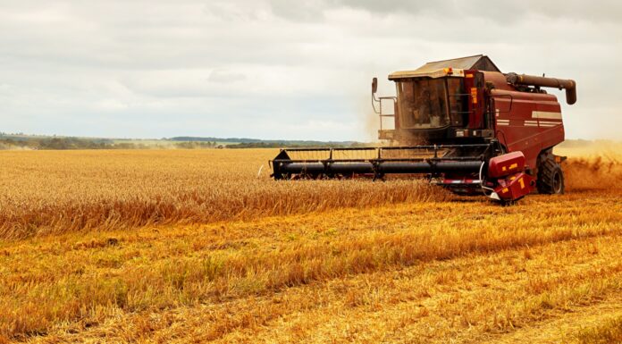 Negocios de agricultura | 15 ideas de negocios agroindustriales Negocios de agricultura, 15 ideas de negocios agroindustriales