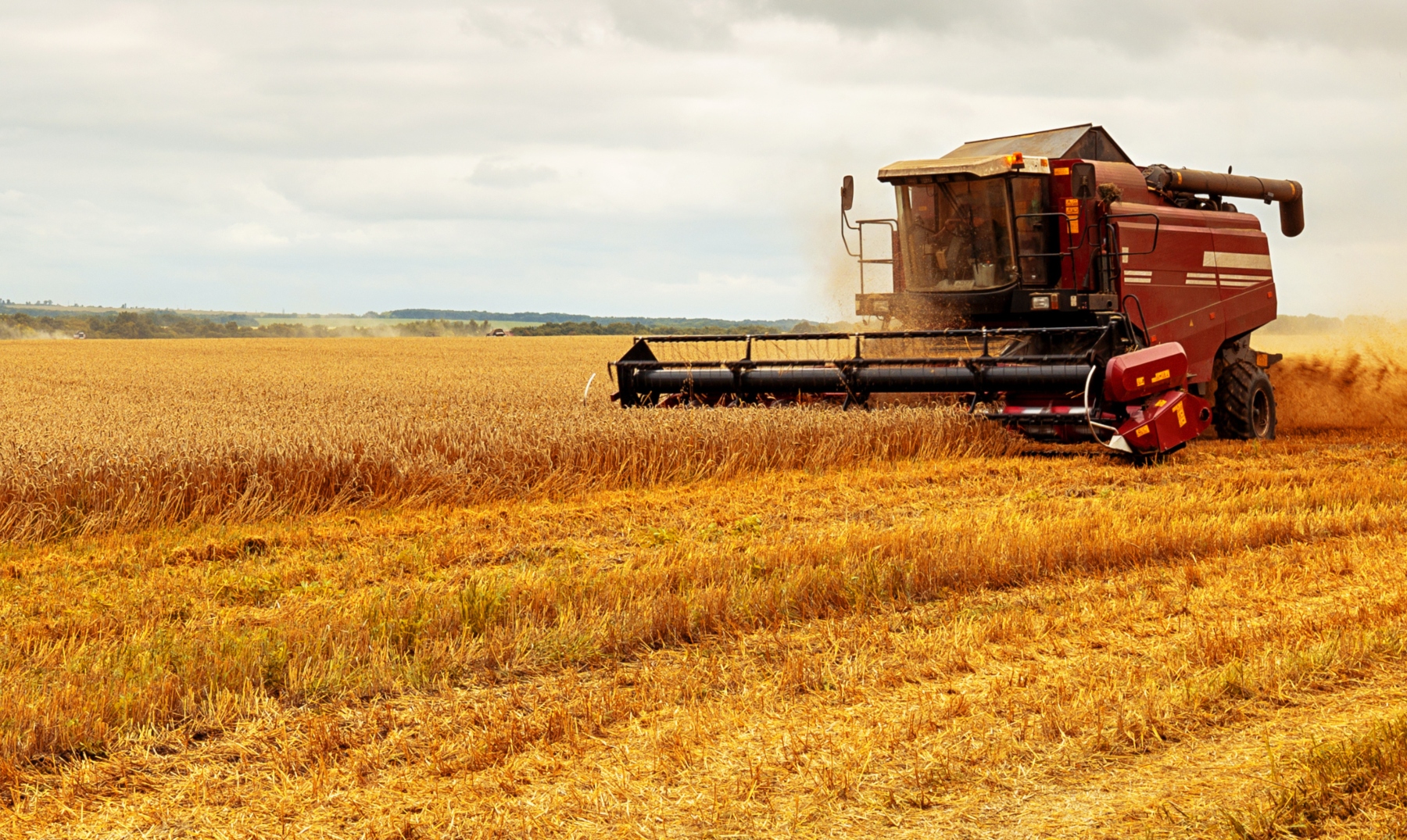 Negocios de agricultura | 15 ideas de negocios agroindustriales
