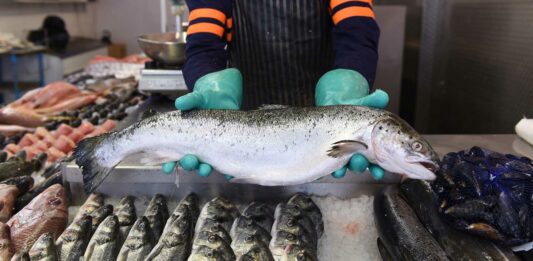 Cómo montar una pescadería | Emprende en el negocio de pescados y mariscos Cómo montar una pescadería