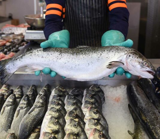 Cómo montar una pescadería | Emprende en el negocio de pescados y mariscos Cómo montar una pescadería
