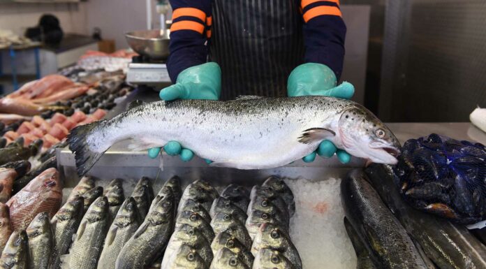 Cómo montar una pescadería | Emprende en el negocio de pescados y mariscos Cómo montar una pescadería