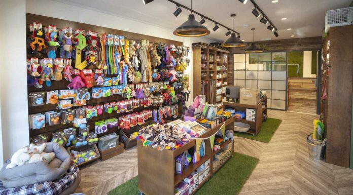 Franquicias de tiendas de mascotas | 10 ideas para invertir Franquicias de tiendas para mascotas