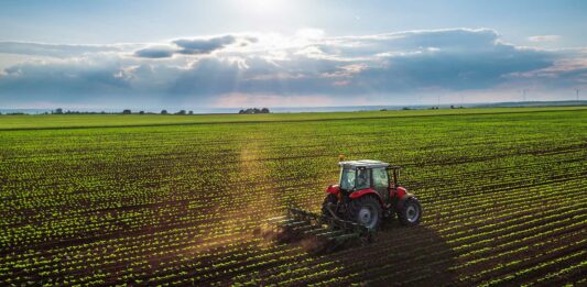 Negocios en terrenos rústicos | 7 ideas para ganar dinero con un terreno rural Negocios en terrenos rústicos - 7 ideas de emprendimiento