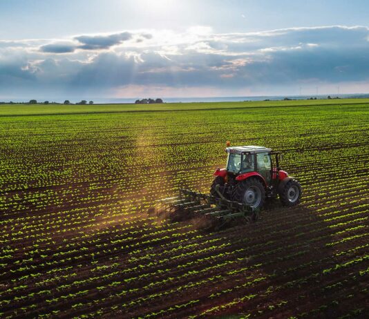 Negocios en terrenos rústicos | 7 ideas para ganar dinero con un terreno rural Negocios en terrenos rústicos - 7 ideas de emprendimiento