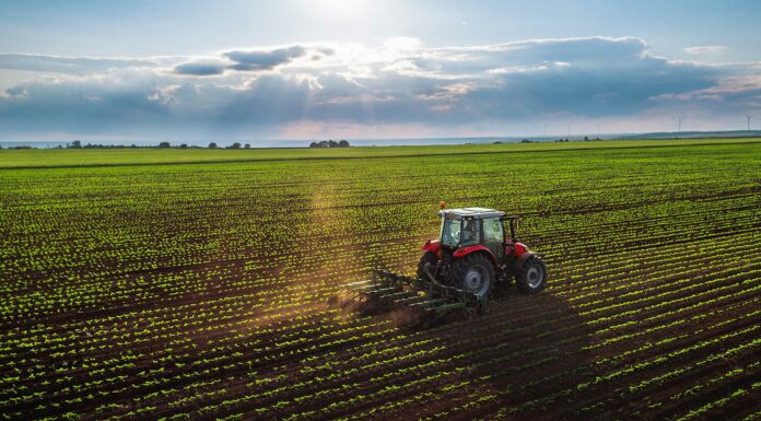 Negocios en terrenos rústicos | 7 ideas para ganar dinero con un terreno rural Negocios en terrenos rústicos - 7 ideas de emprendimiento