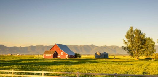 Negocios rentables en fincas | 5 ideas de emprendimientos para invertir Negocios rentables en fincas