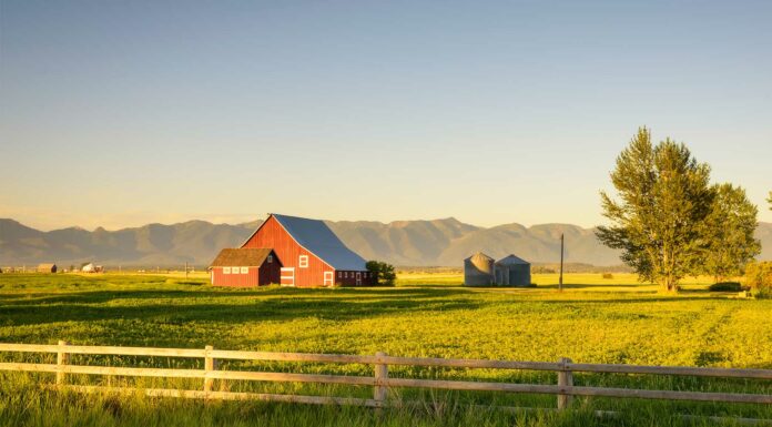 Negocios rentables en fincas | 5 ideas de emprendimientos para invertir Negocios rentables en fincas