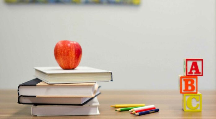 Franquicias de educación | 10 negocios académicos para invertir Franquicias de educación - 10 negocios para invertir