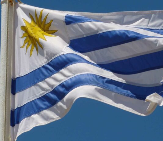 Negocios rentables en Uruguay | 10 ideas de emprendimiento para invertir Negocios rentables en Uruguay - Ideas de emprendimientos