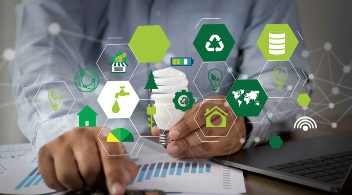 Negocios sustentables y ecológicos | 15 ideas de emprendimientos Negocios sustentables - 15 ideas para emprender