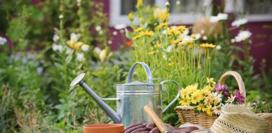 Cómo iniciar un negocio de jardinería | Pasos para crear tu empresa Abrir negocio de jardinería guía