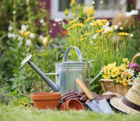 Cómo iniciar un negocio de jardinería | Pasos para crear tu empresa Abrir negocio de jardinería guía