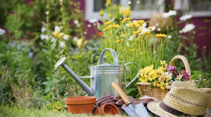 Cómo iniciar un negocio de jardinería | Pasos para crear tu empresa Abrir negocio de jardinería guía