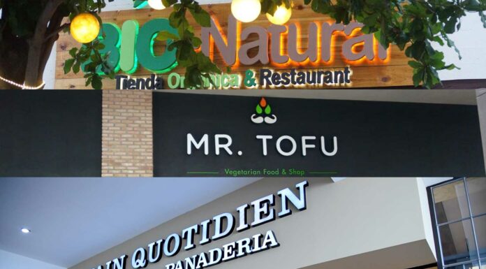 Franquicias veganas en México | 5 negocios de estilo veggie para invertir 5 Franquicias veganas en méxico