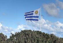 Franquicias en Uruguay | 10 mejores marcas para arrancar un negocio Franquicias en Uruguay, 10 marcas para invertir