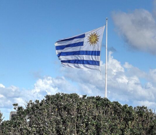 Franquicias en Uruguay | 10 mejores marcas para arrancar un negocio Franquicias en Uruguay, 10 marcas para invertir