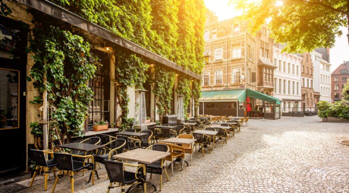 25 negocios al aire libre | Sácale partido a los beneficios de la naturaleza con estas ideas negocios al aire libre