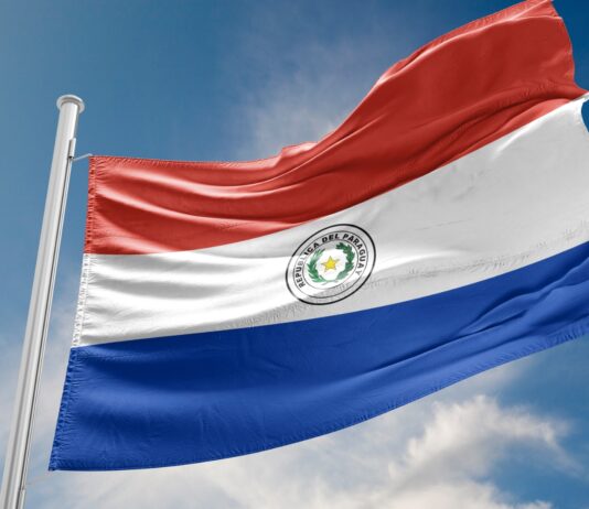 9 franquicias en Paraguay | Conoce las mejores opciones para invertir Franquicias en Paraguay