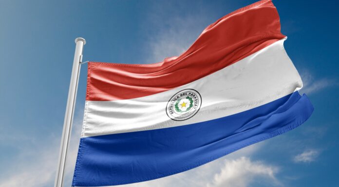 9 franquicias en Paraguay | Conoce las mejores opciones para invertir Franquicias en Paraguay