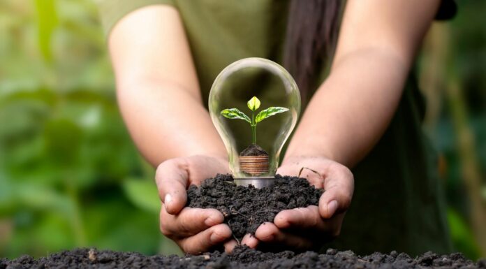 5 Consejos para ahorrar luz en tu negocio y en tu casa 5 Consejos para ahorrar luz en tu negocio y en tu casa