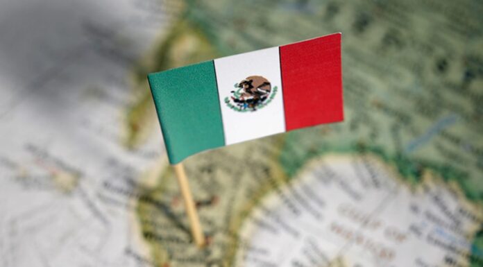 15 negocios que no existen en México aún | ¿Qué esperas para invertir? negocios en México