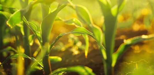 5 prácticas para que su empresa agrícola sea sostenible practicas sostenibles empresa agricola
