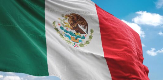 Franquicias de helados en México | Las 15 mejores opciones para invertir Bandera de México