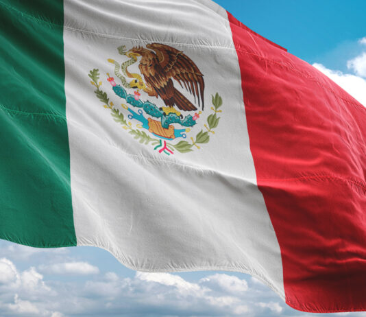 Franquicias de helados en México | Las 15 mejores opciones para invertir Bandera de México