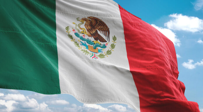 Franquicias de helados en México | Las 15 mejores opciones para invertir Bandera de México