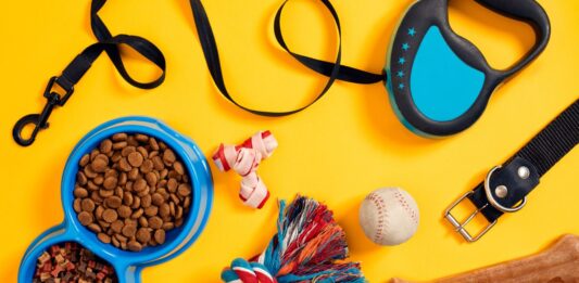 Plan de negocios para montar una tienda de mascotas Artículos que representan una tienda de mascotas