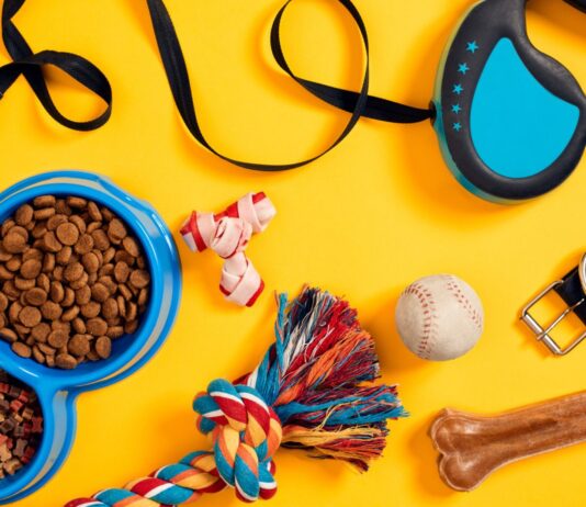 Plan de negocios para montar una tienda de mascotas Artículos que representan una tienda de mascotas