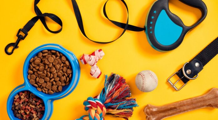 Plan de negocios para montar una tienda de mascotas Artículos que representan una tienda de mascotas