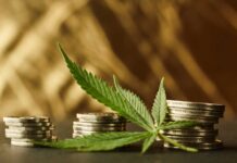 Franquicia GrowShop, un negocio diferente y rentable en 2023 Growshop como negocio rentable