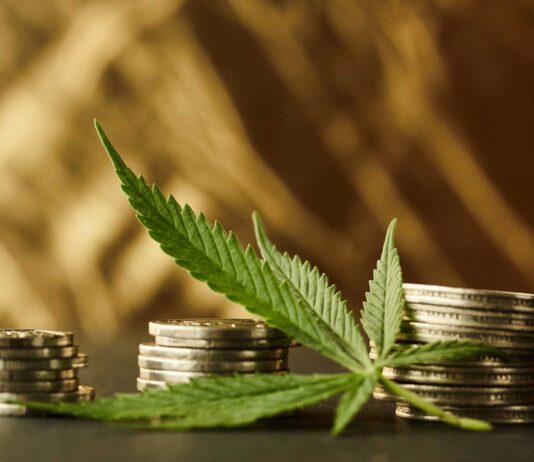 Franquicia GrowShop, un negocio diferente y rentable en 2023 Growshop como negocio rentable