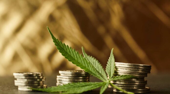 Franquicia GrowShop, un negocio diferente y rentable en 2023 Growshop como negocio rentable