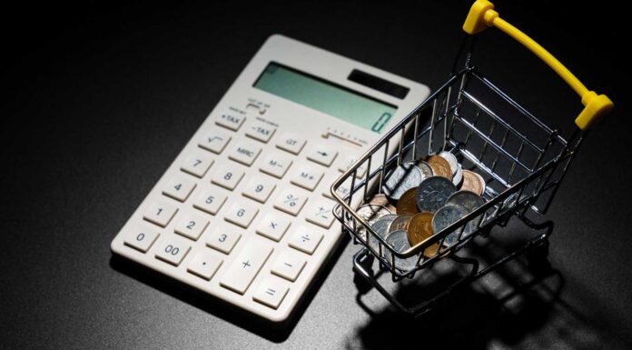 ¿Por qué y cómo demostrar solvencia económica? Qué es la solvencia económica