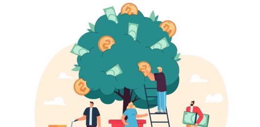 Innobonos, la subvención para impulsar la digitalización de las pymes canarias Innobonos, una subvención para la digitalización