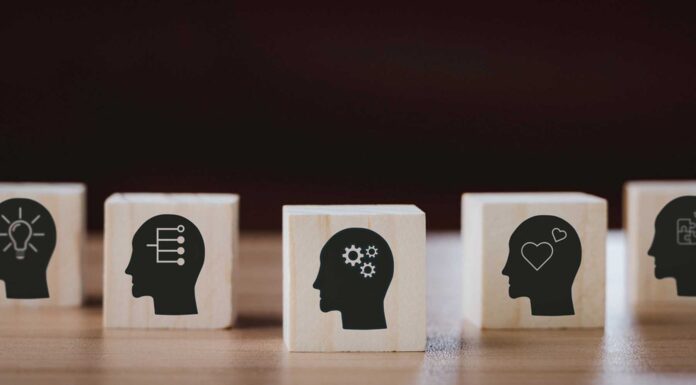 Las competencias transversales: qué son y su importancia en la empleabilidad Las competencias transversales