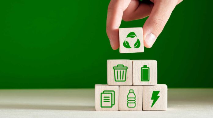 5 tips para hacer tu negocio más sostenible Tips para tener un negocio sostenible