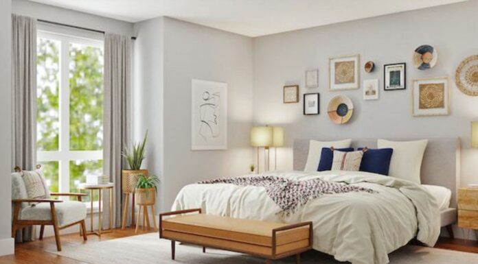 ¿Qué productos buscar en Chile a la hora del descanso? ¿Qué productos buscar en Chile a la hora del descanso?