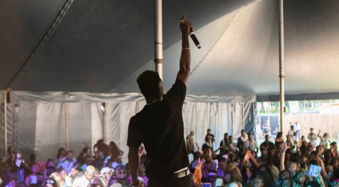 Carpas para eventos: ¿cuál elegir? Carpas para eventos: ¿cuál elegir?