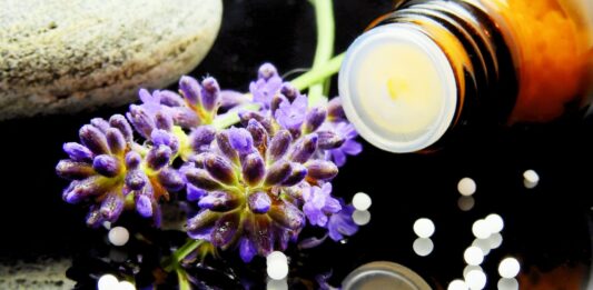 Cómo montar una herboristería | Paso a paso para ofrecer salud y bienestar Cómo montar una herboristería con productos saludables