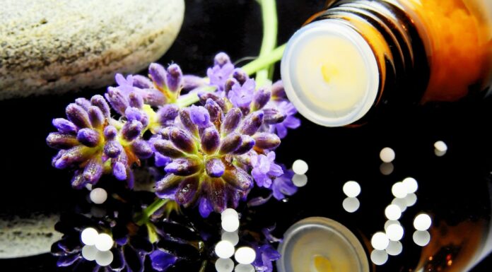 Cómo montar una herboristería | Paso a paso para ofrecer salud y bienestar Cómo montar una herboristería con productos saludables