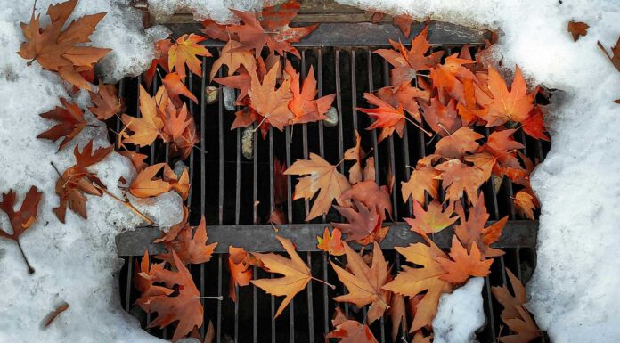 Drenaje superficial: tipos, ventajas y consejos de instalación sistemas de drenaje