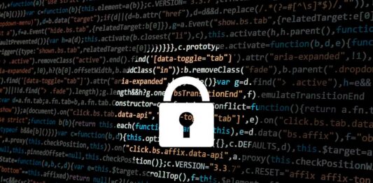 Seguridad y protección digital: Factores a considerar para proteger tu negocio online en 2024 seguridad digital