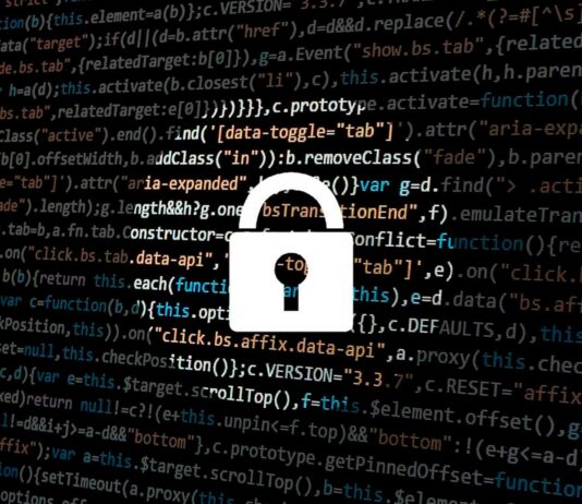 Seguridad y protección digital: Factores a considerar para proteger tu negocio online en 2024 seguridad digital