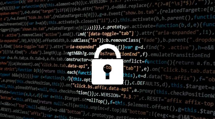 Seguridad y protección digital: Factores a considerar para proteger tu negocio online en 2024 seguridad digital